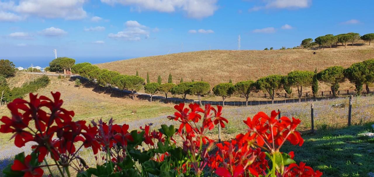 Hotel Tenuta Dell'Argento Resort Civitavecchia Exterior foto